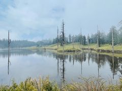 -瓦屋山景区
