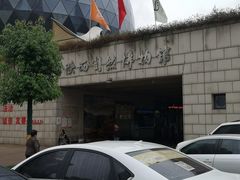 -陕西自然博物馆