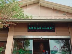 -溱湖国家湿地公园