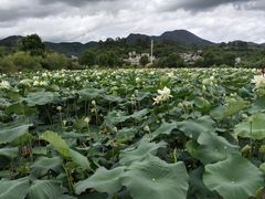 -昆明青龙峡风景区
