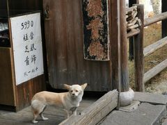 -乌镇东栅景区