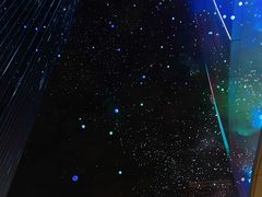 -交通银行前滩31演艺中心