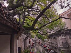 -绍兴鲁迅故里·沈园景区