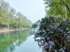 -中国人民解放军总医院第八医学中心