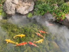 -罗红摄影艺术馆