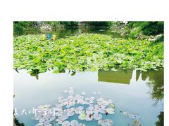 -郑和公园