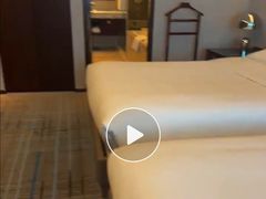 -上海龙之梦万丽酒店