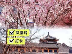 -北京凤凰岭