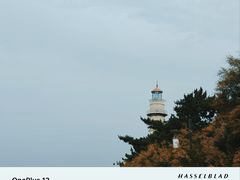 -悦海公园