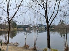 -白鹭湾湿地公园