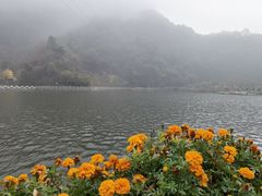 -秦岭终南山世界地质公园翠华山景区