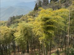 -莫干山风景区