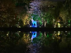 -苏州河梦清园环保主题公园