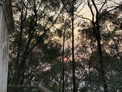 -南山植物园