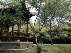 -晋祠公园