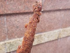 -真味烧烤(解放碑店)