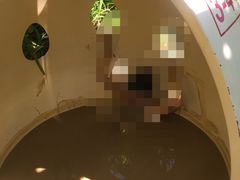 -100蛋泥浆浴