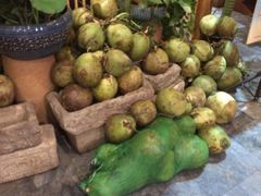 -探窝·竹笙椰子鸡(杨箕店)