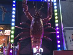 -红钳侠小龙虾·烧烤(中赢康康谷店)