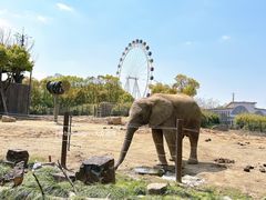 -上海野生动物园