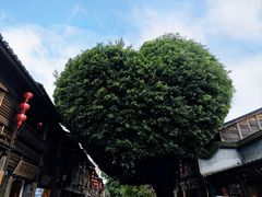 -三坊七巷历史文化街区