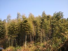 -梅岭月亮湾山体公园