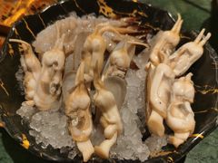 -牛New寿喜烧(金鹰世界店)