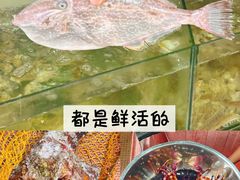-岛中岛·海鲜大排档·万宁老字号(东澳店)