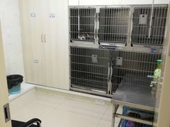 -宠颐生宠物医院·骨外科·犬猫全科诊疗中心(池州店)