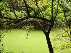 -英西峰林·洞天仙境