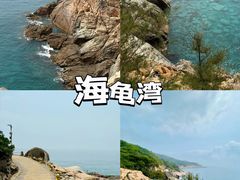 -广东惠东海龟国家级自然保护区