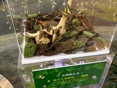 -LuOne凯德晶萃广场(徐家汇路店)