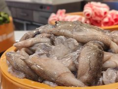 -龍歌自助小火锅(秦淮水游城店)