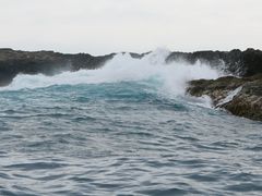 -企鹅岛