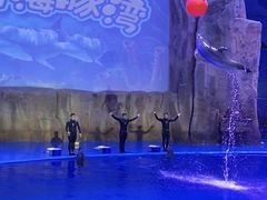 -华夏文旅海洋公园