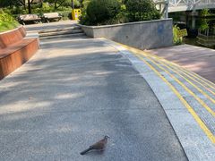-兰溪青年公园