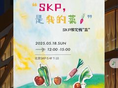 -北京SKP