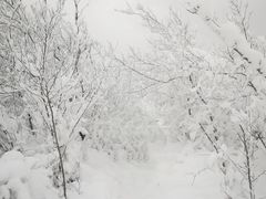 -里口山风景名胜区