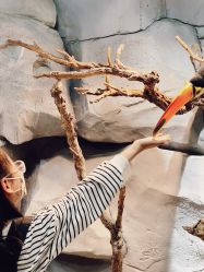 -Zoolung Zoolung动物主题公园(海信广场店)