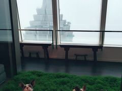 -上海柏悦酒店