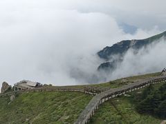 -白草畔自然风景区
