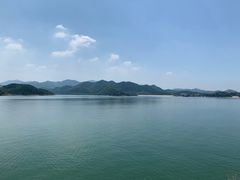 -望湖烤鱼