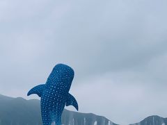 -珠海长隆海洋王国