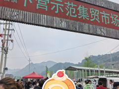 -示范集贸市场
