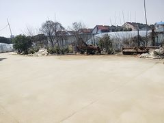 -胜丰草莓采摘园