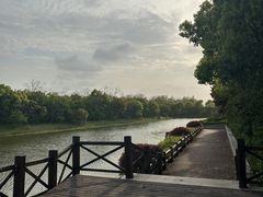 -上海海湾国家森林公园