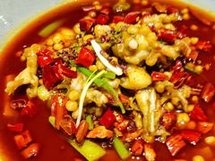 -馋嘴猫北京食堂·烤鸭·宵夜(亚运村店)
