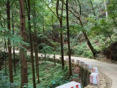 -波尔登森林公园