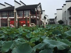-丝绸小镇荻港古村
