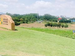 -光明小镇欢乐田园